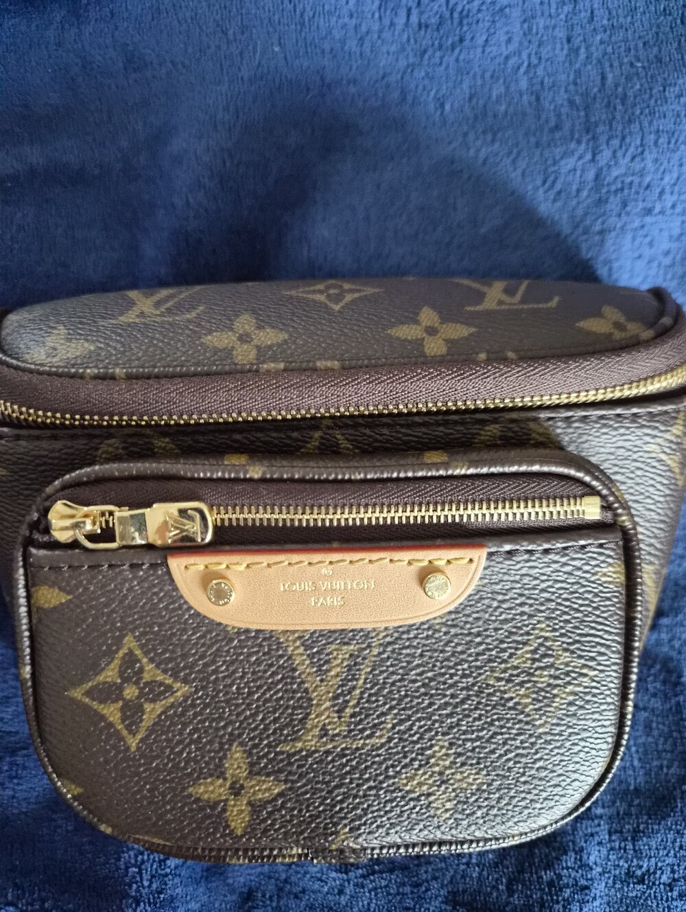 Louis Vuitton Monogram Canvas Mini Bum Belt Bag - Picture 3 of 16